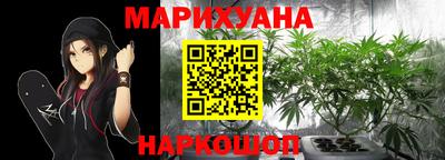 крисы Ярославль